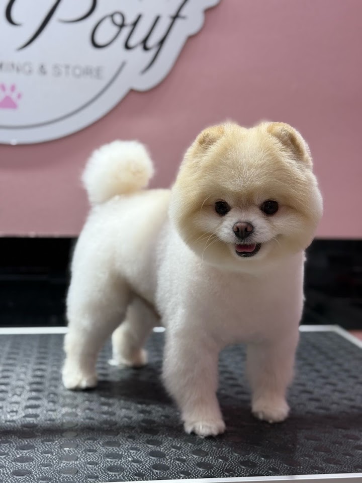 Pink Pouf Pet Kuaför