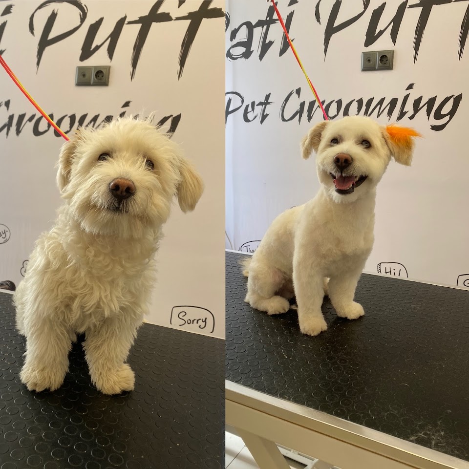 Pati Puff Pet Kuaför