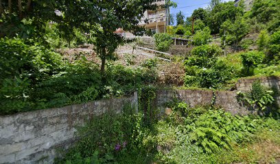 Aspava