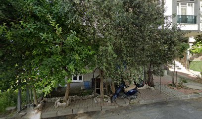ARNAVUTKÖY PROTEZ TIRNAK MAKYAJ TASARIM BEAUTY GÜZELLİK MERKEZİ