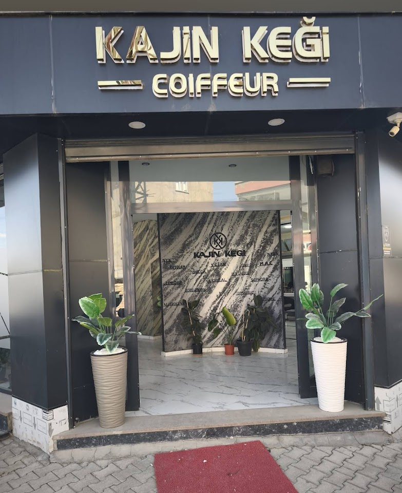 Kajin keği coıffeur