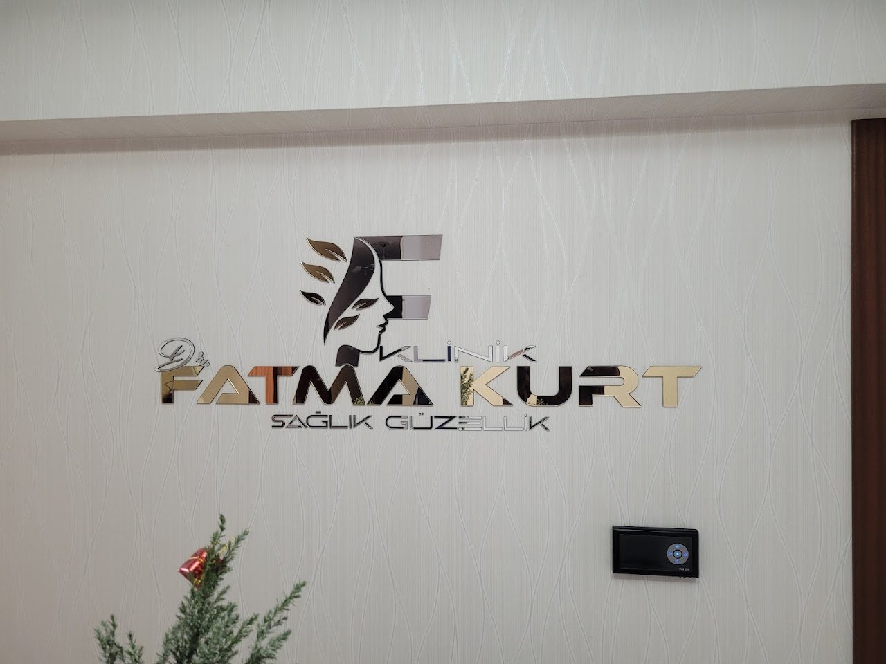 Dr Fatma Kurt