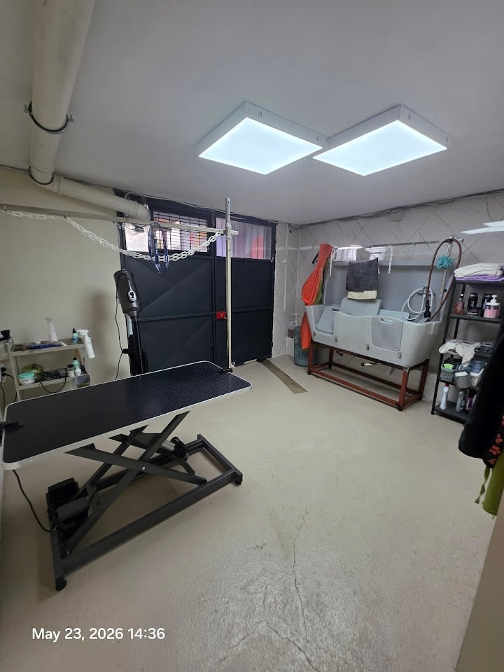 Miss Groomers H&S Salon - Urla