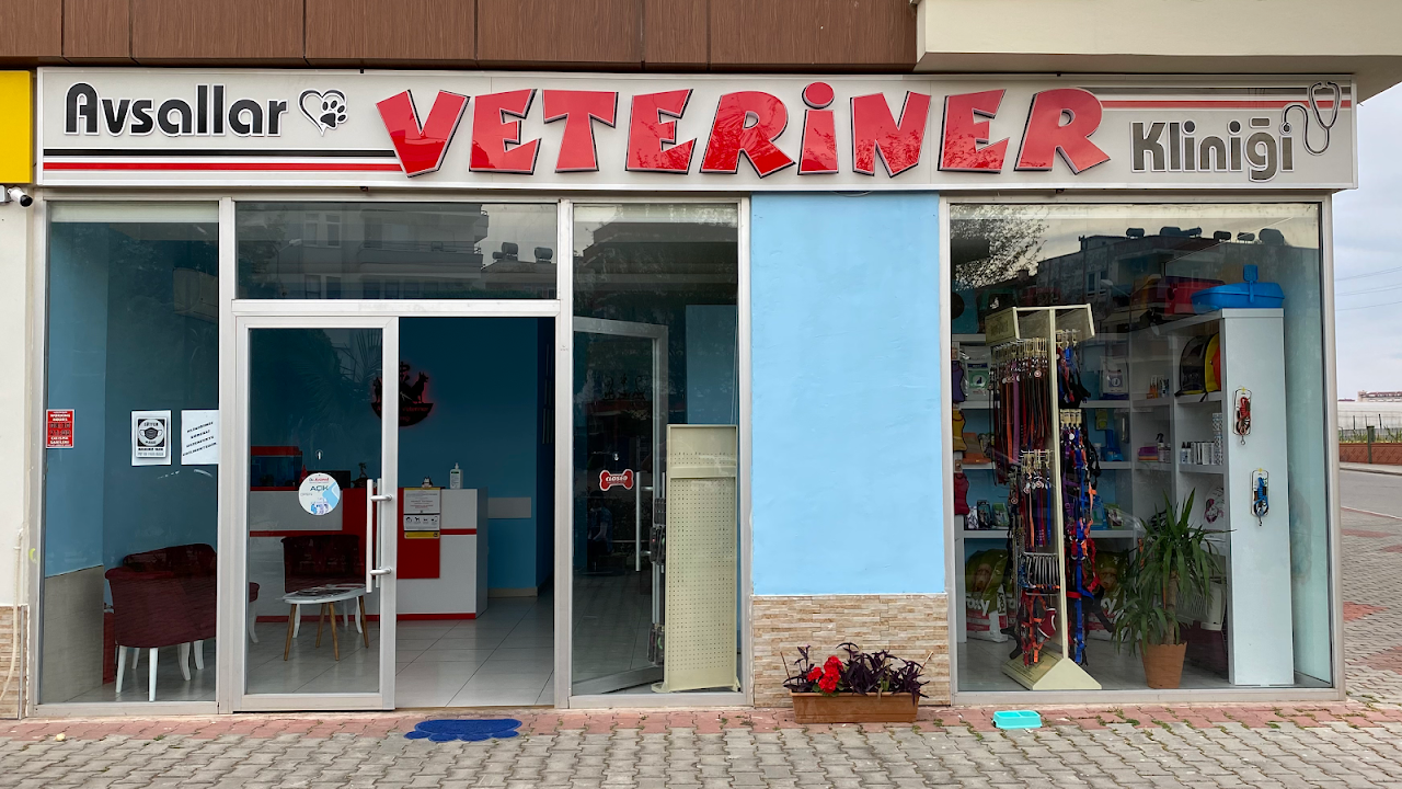 Avsallar Veteriner Kliniği / Kleintierpraxis / Pet Clinic