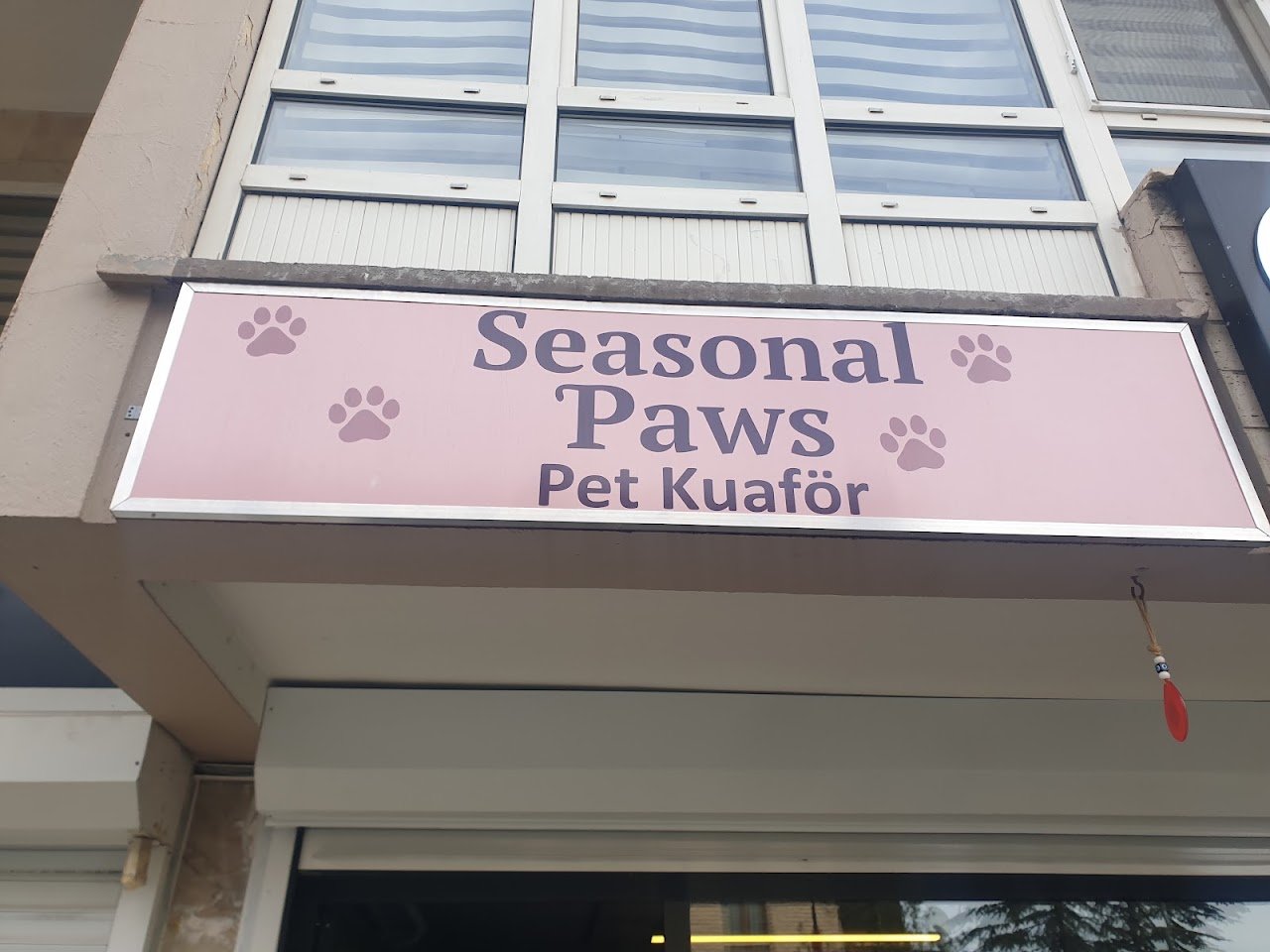 Seasonal Paws