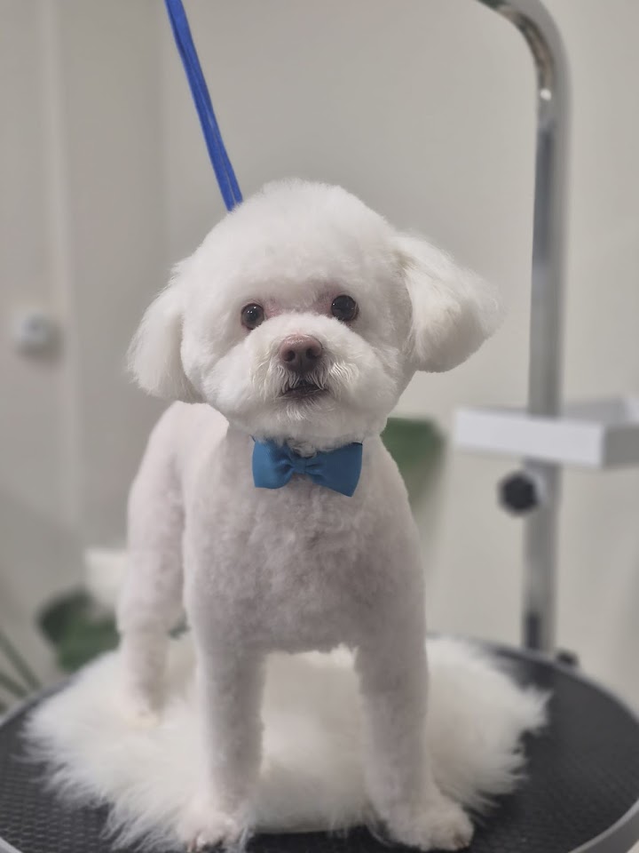 MonaLimo Pet Salon & Pet Shop