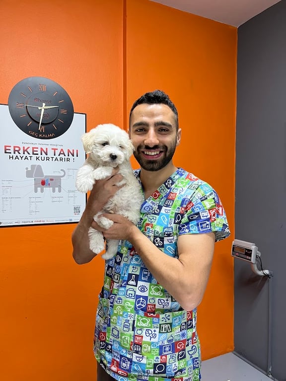 Pet Klinikum Veteriner Kliniği