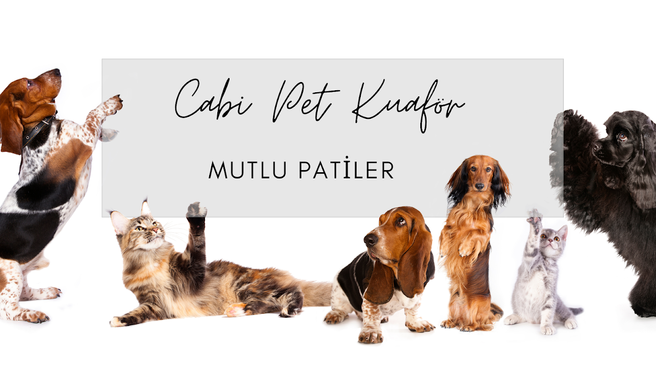 Cabi Pet Kuaför
