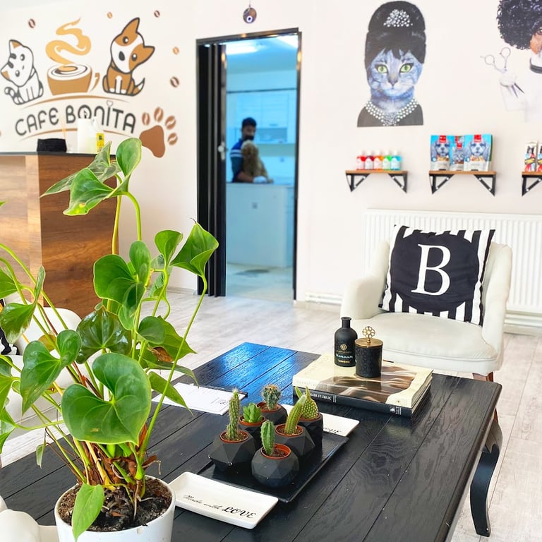 BONİTA PET KUAFÖR VE PET SHOP / ÇEKMEKÖY