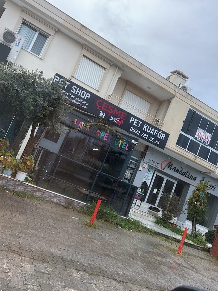 Çeşme Pet Shop Pet Kuaför Pet Otel Köpek Eğitimi