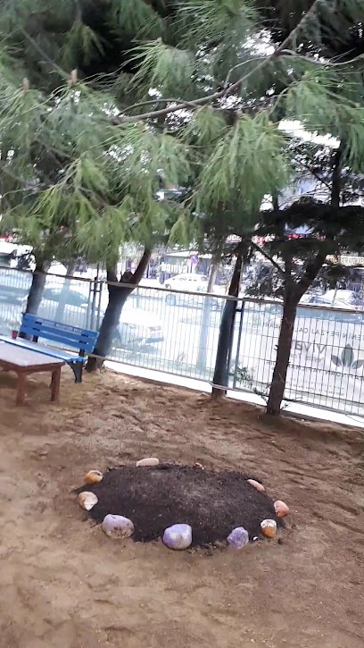 Törpü Güzellik Merkezi