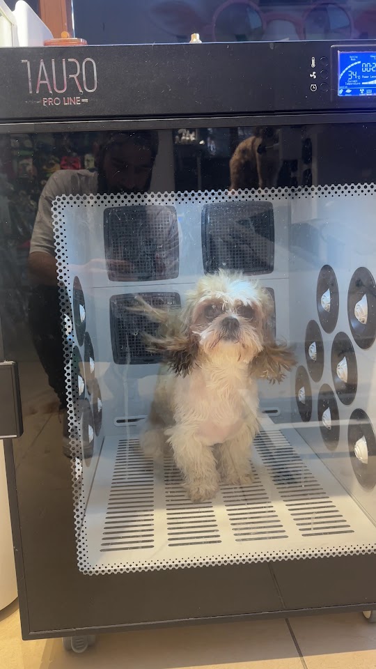 Pet Grooming İstanbul