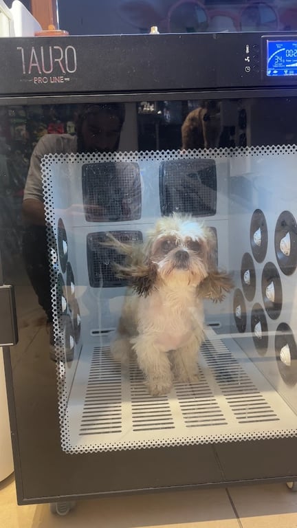 Pet Grooming İstanbul