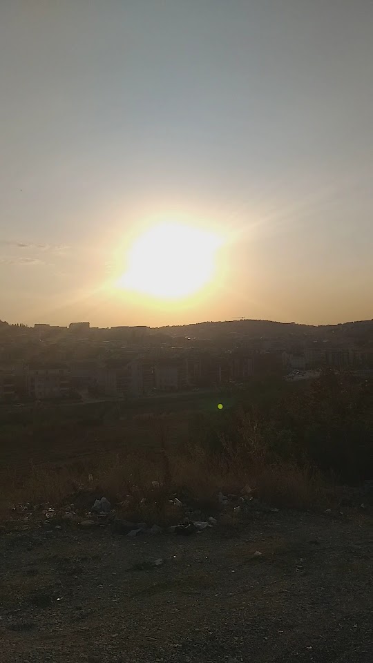 No:7 Saç Tasarim