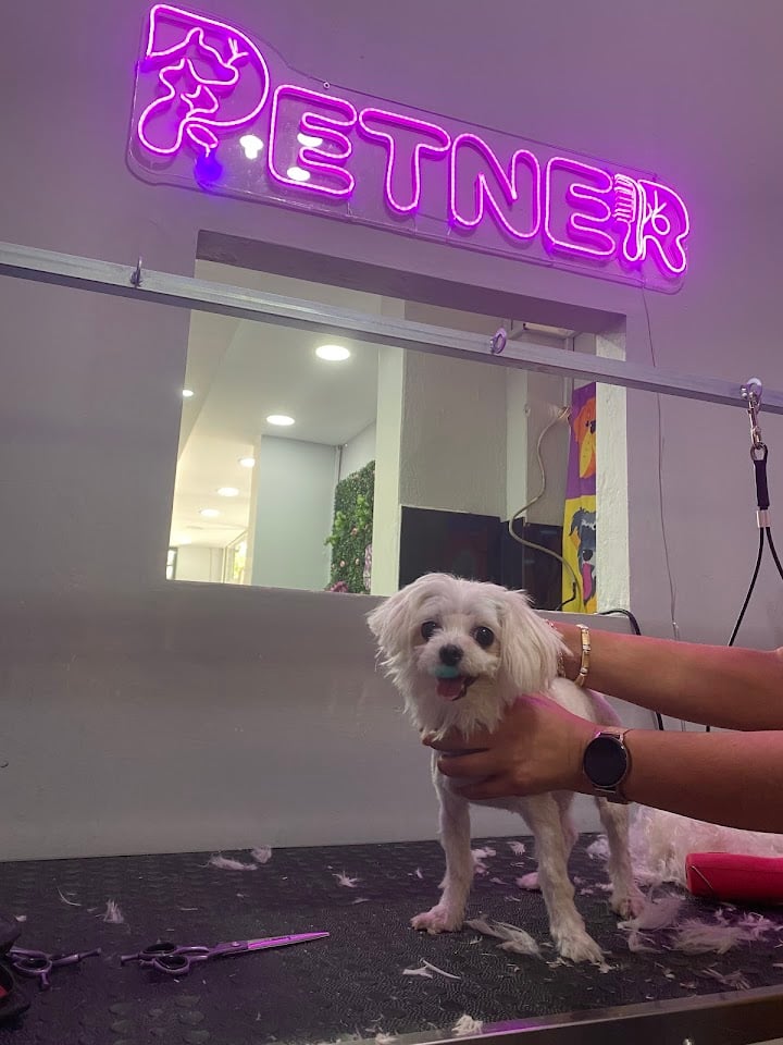 Petner Petshop & Pet Kuaför