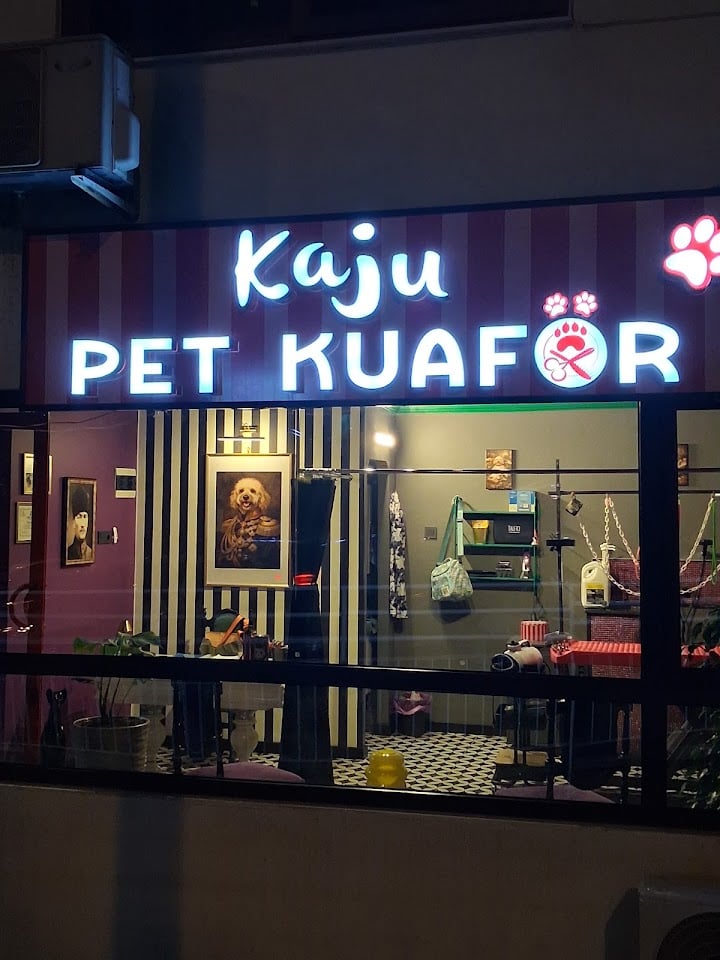 Kaju pet kuaför