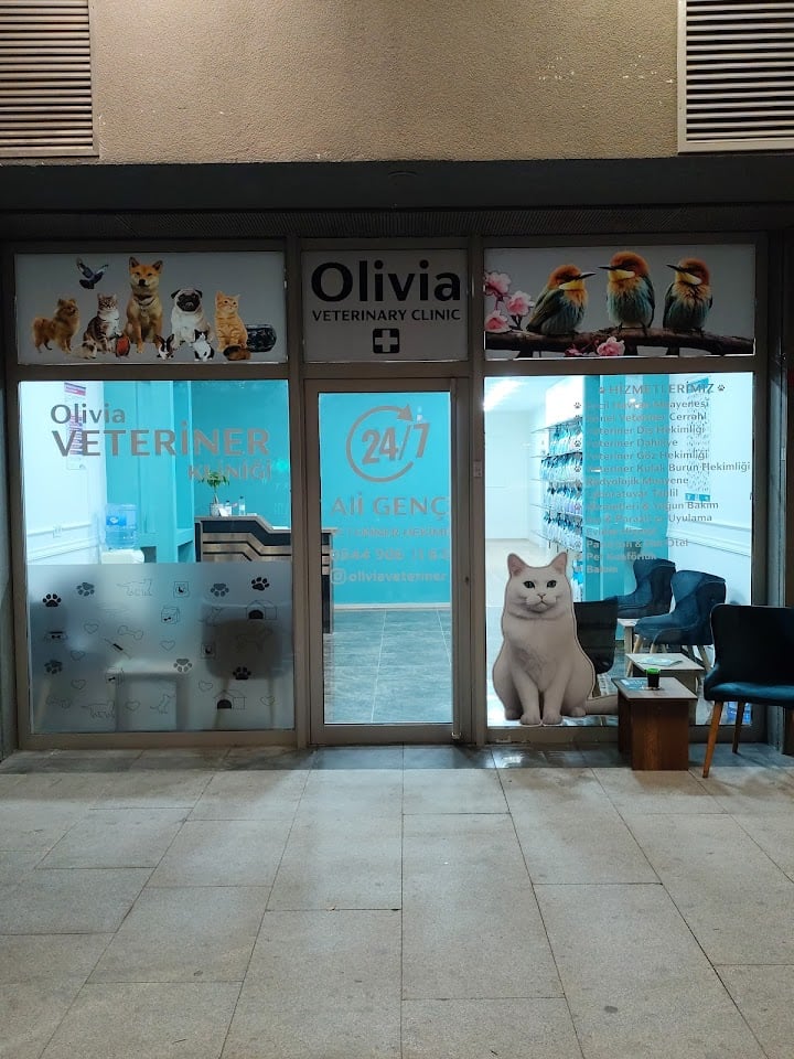 VETERİNER BAŞAKŞEHİR Olivia Veteriner Kliniği | 7/24 Nöbetçi Veteriner