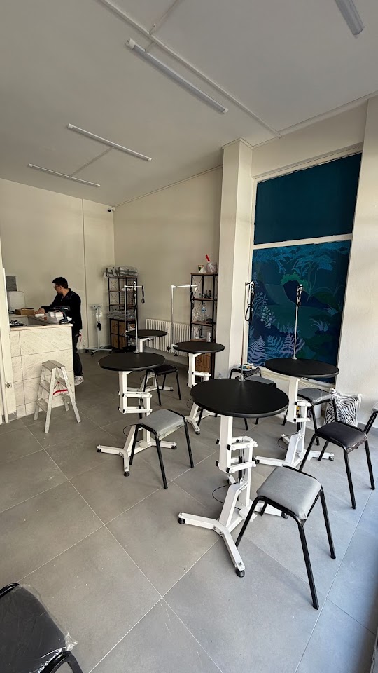 Academy of Pet Grooming