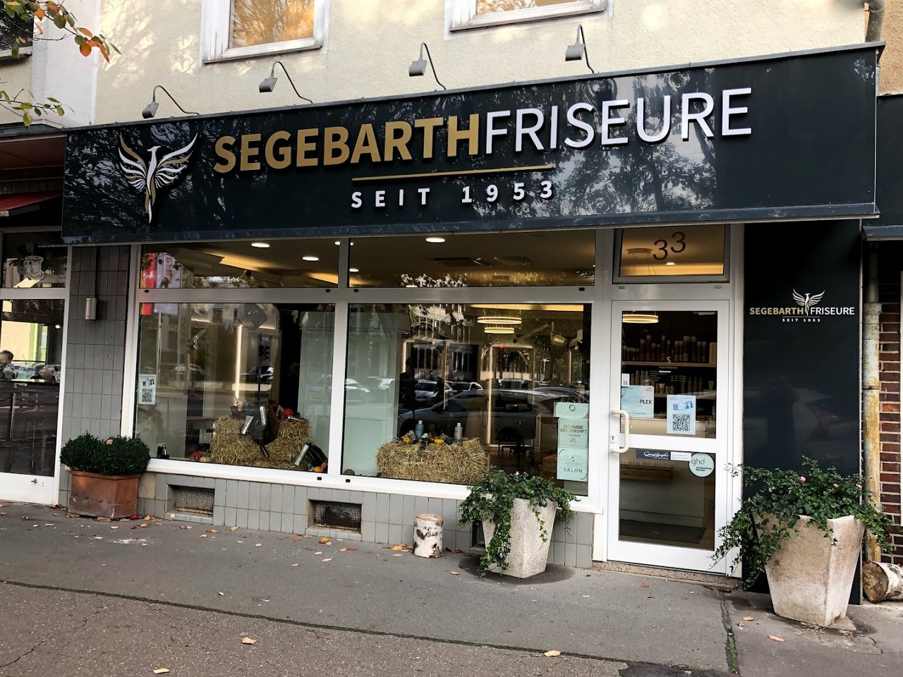 Hair energetics Jörg Segebarth