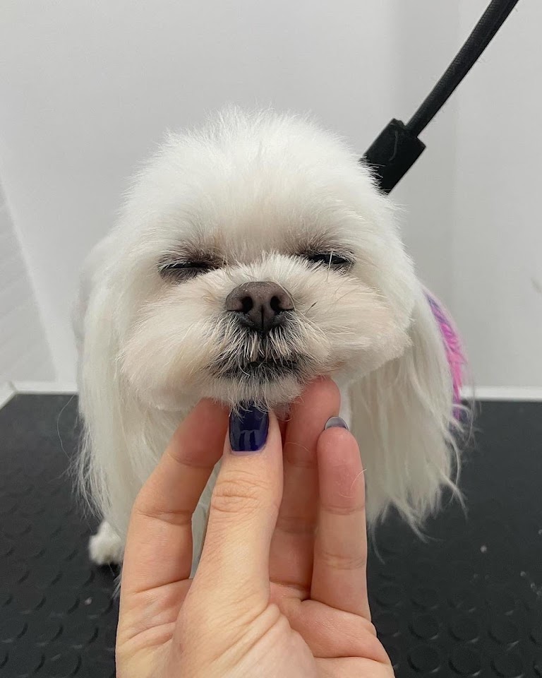 Pati Stylist
