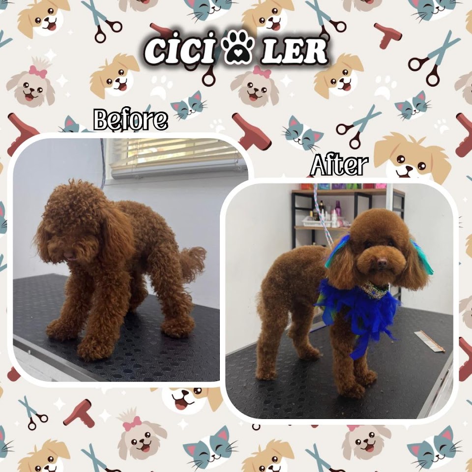 Cici Patiler Edirne Petshop & Pet Kuaför