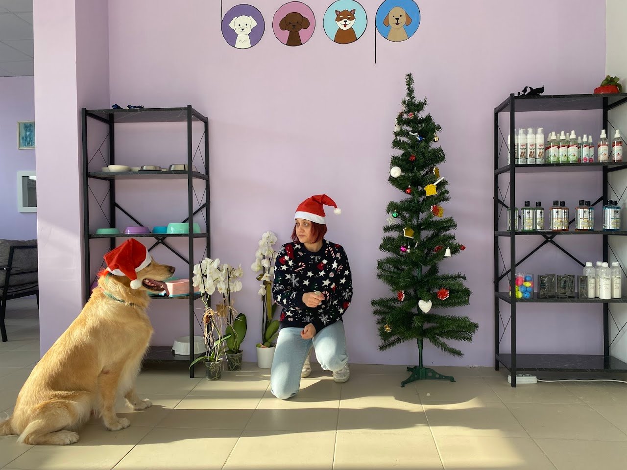 Boop Pet Kuaför Edirne