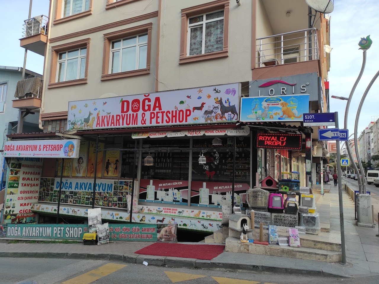PET KUAFÖR çayırova Doğa Akvaryum petshop