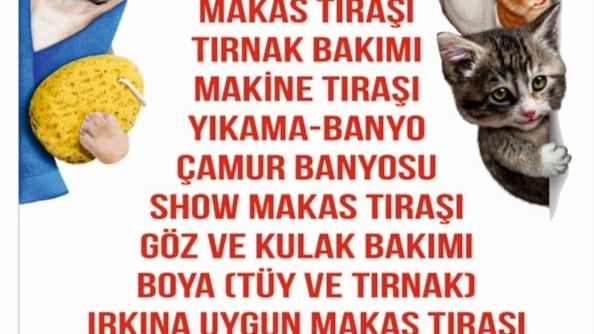 Tımarhane ️Pet Kuaför Karşıyaka