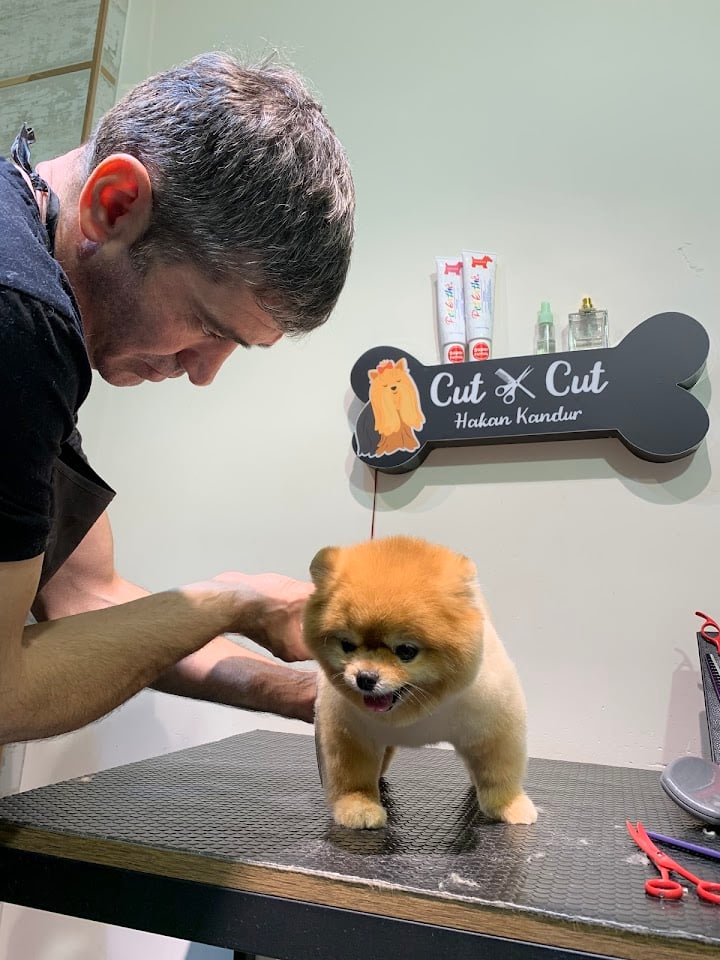 Cut Cut Pet Kuaförü&Shop