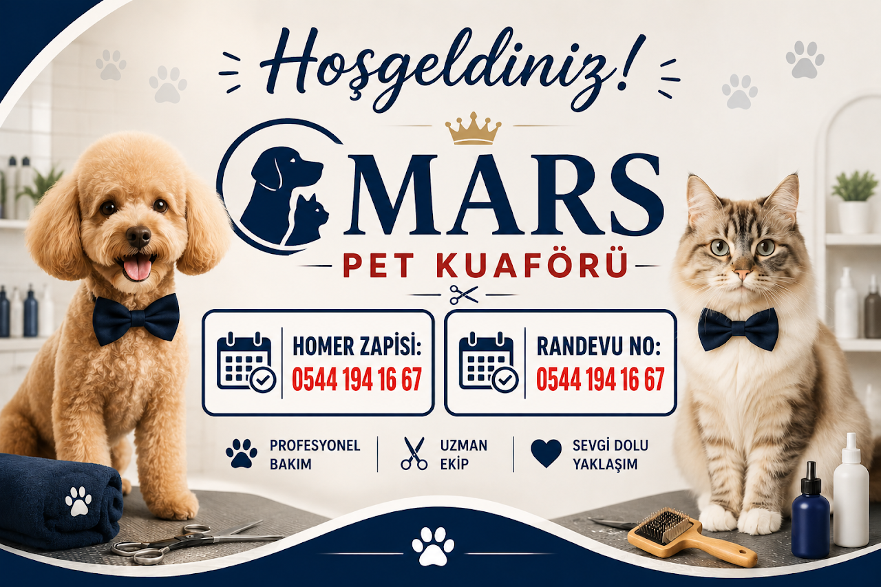 Mars Pet Kuaförü Grooming salon