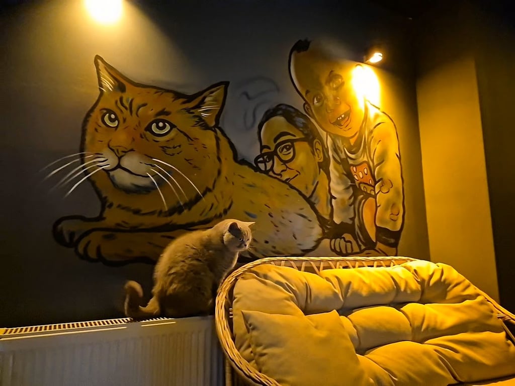 Pitosh Home CAT HOTEL