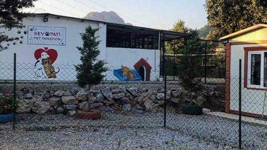 Sevpati Pet (Pet Pansiyon & Pet Kuaför & Pet Shop)