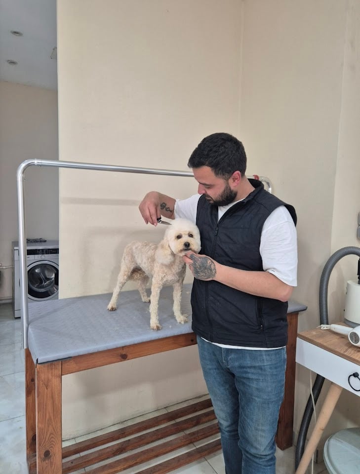 Çapili Pet Kuaför