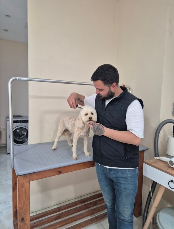 Çapili Pet Kuaför