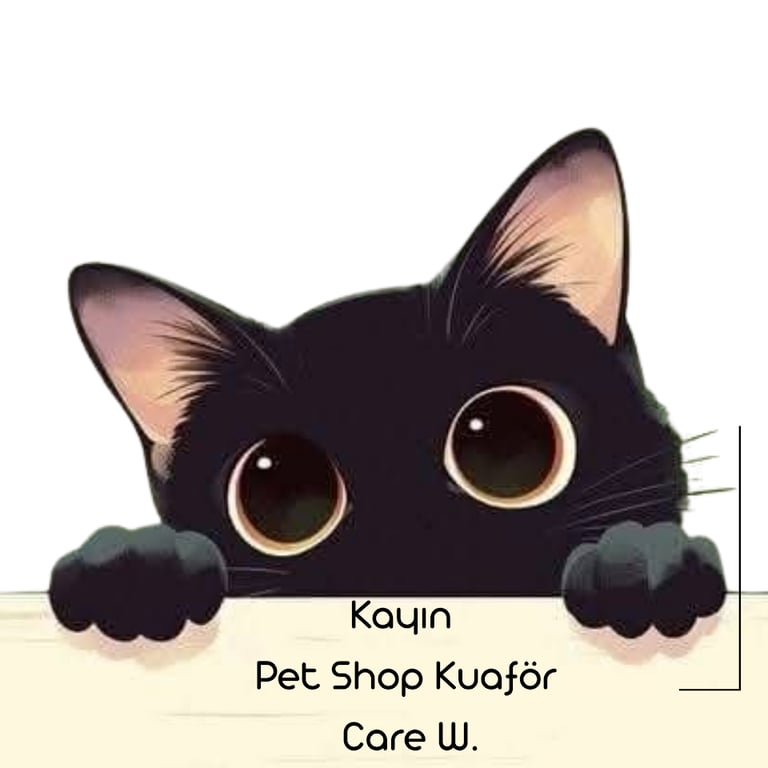 Kayın Pet Shop | Pet Kuaför Care W. Bahçeşehir / Başakşehir