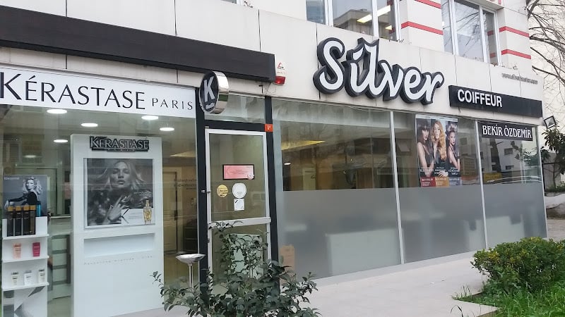 Silver Hair Studio