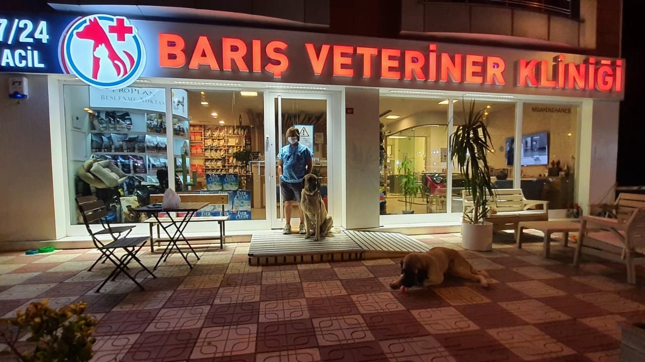 BARIŞ VETERİNER KLİNİĞİ 7/24 ACİL VETERİNER