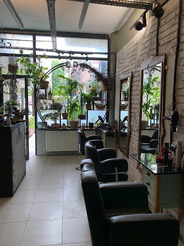 Root hair studio
