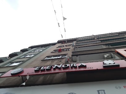 Elenora