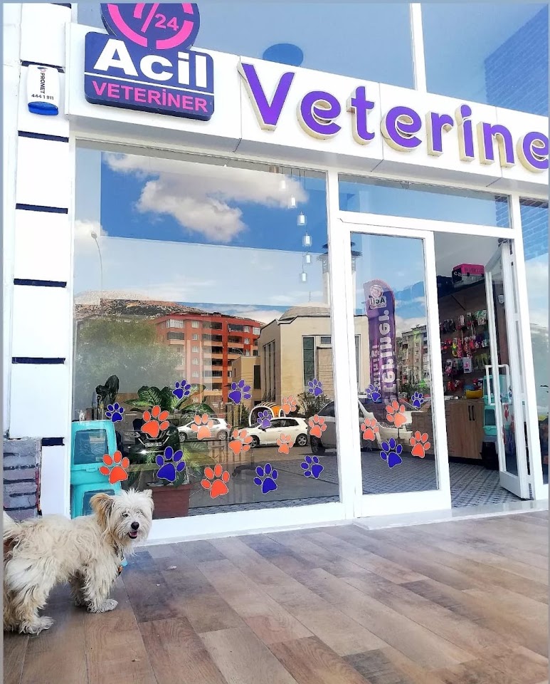 PawLife Veterinerlik