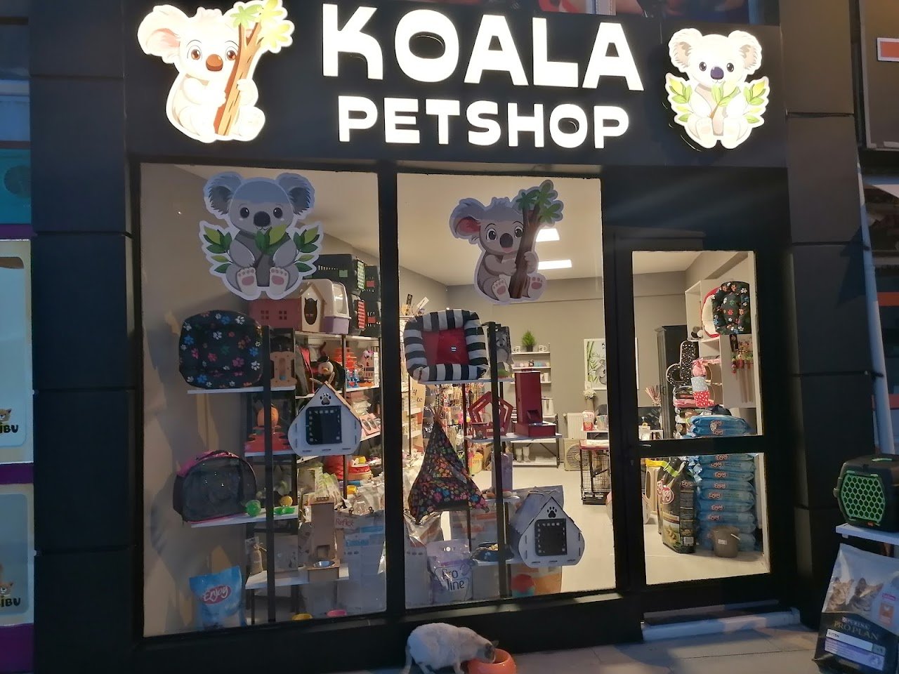KOALA PETSHOP🐨