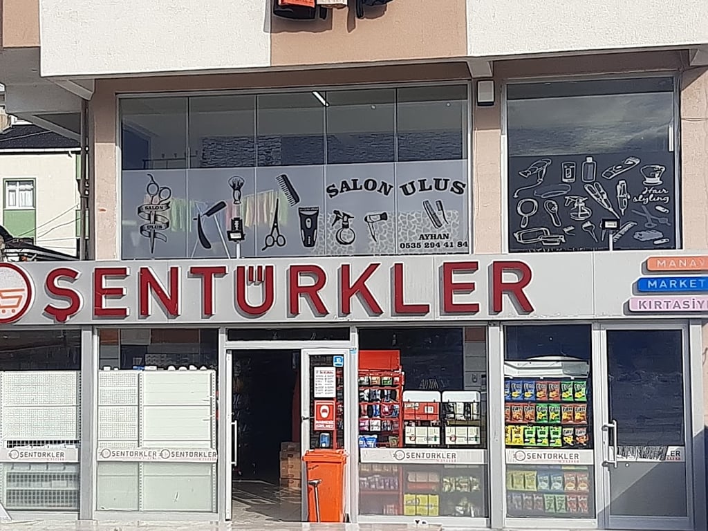 Salon ulus