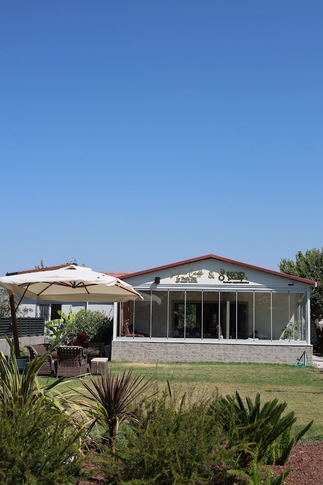 Saloon cadde kuşçular