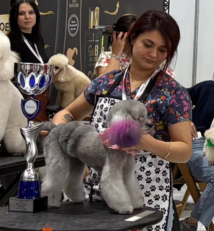 Cookie Pet Kuaför Bayraklı Şubesi