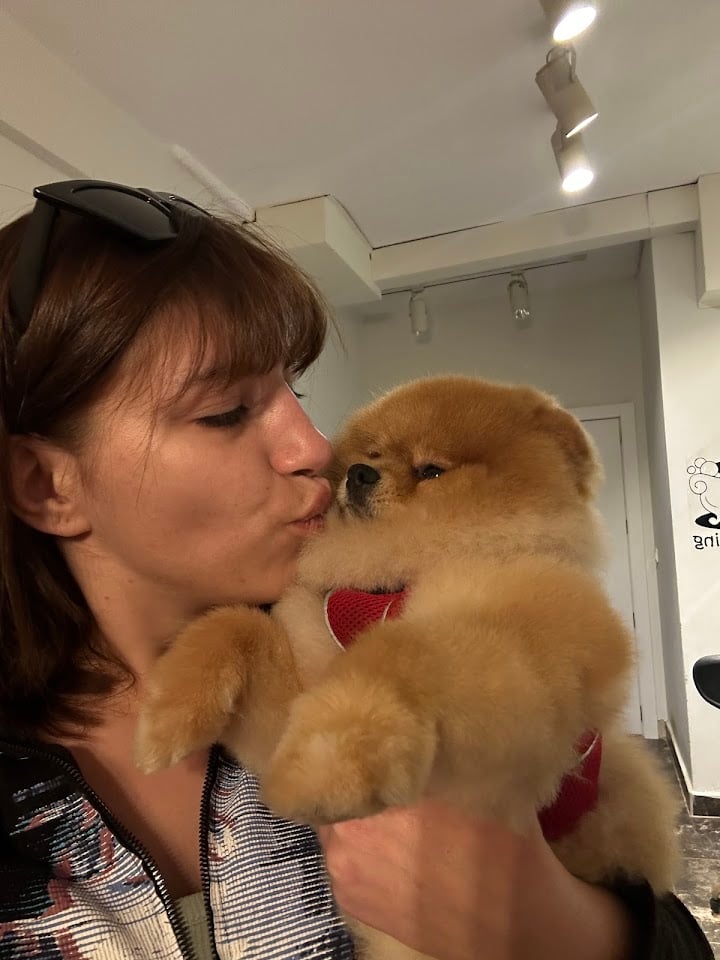 Pet Groomer FK