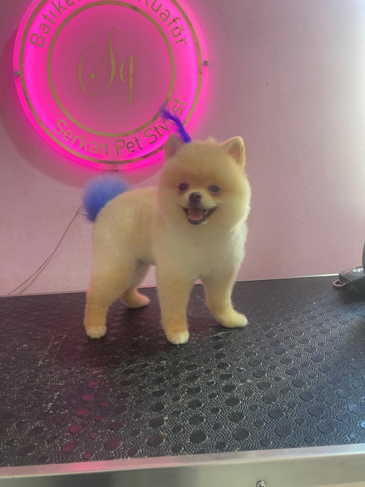 Batıkent Pet Kuaför