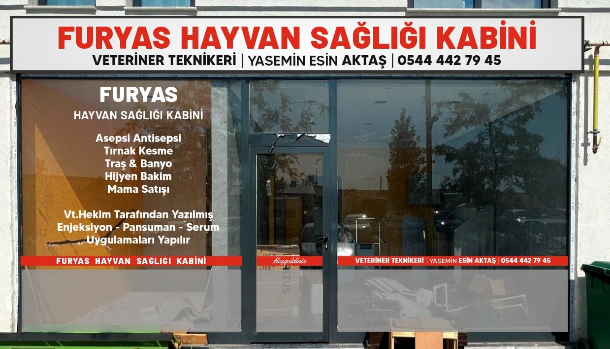 Silivri FURYAS HAYVAN SAĞLIĞI KABİNİ PETSHOP