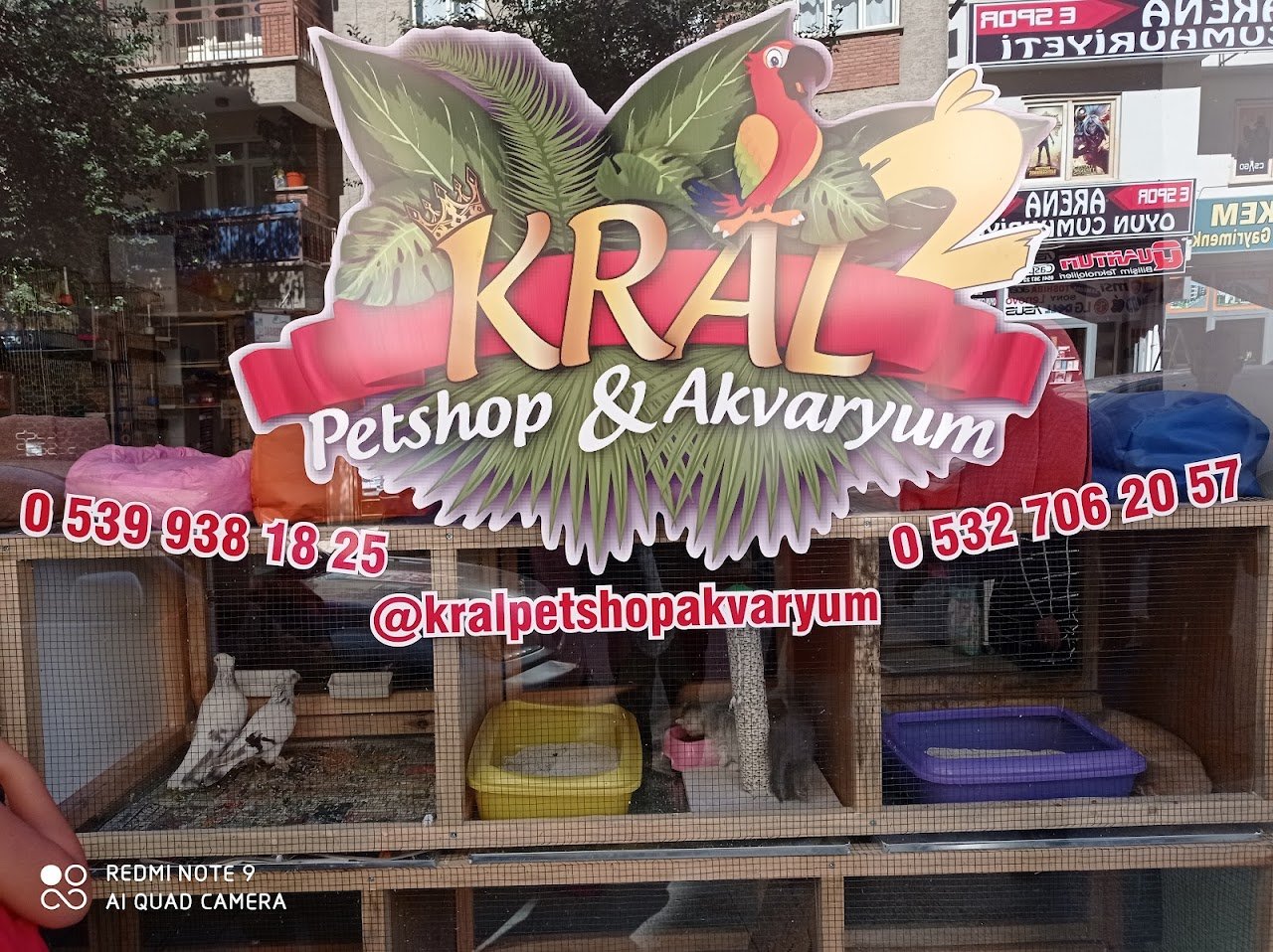 Kral Petshop , Akvaryum &PetHotel