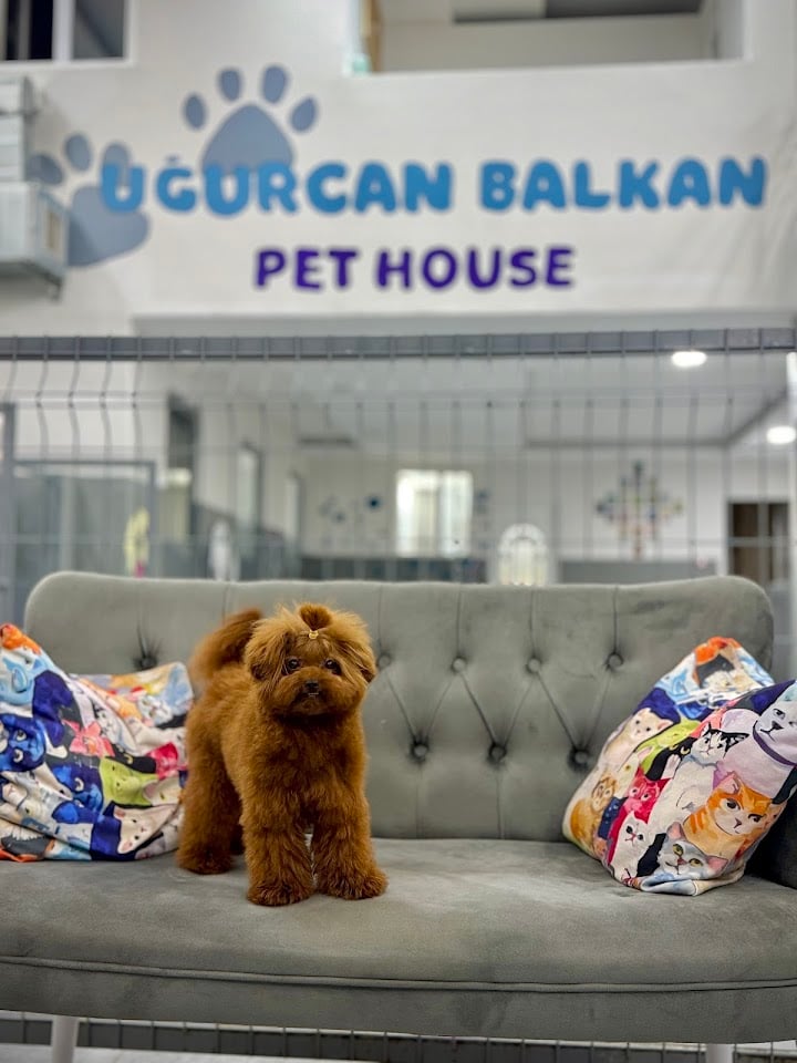 Uğurcan Balkan Pet House