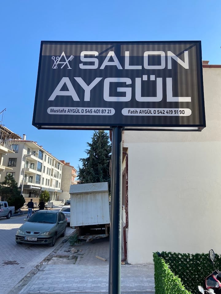 Salon aygül